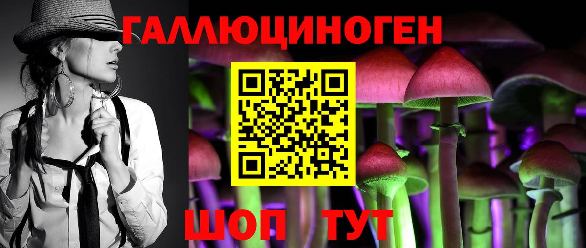 Галлюциногенные грибы GOLDEN TEACHER Ставрополь