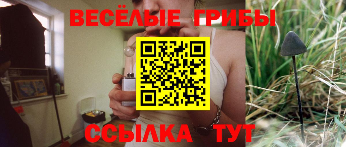 Ставрополь  Галлюциногенные грибы Cubensis  Вход с VPN 